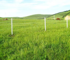 草原護欄網(wǎng)